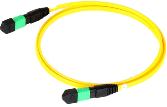 MPO/MTP Patch cord